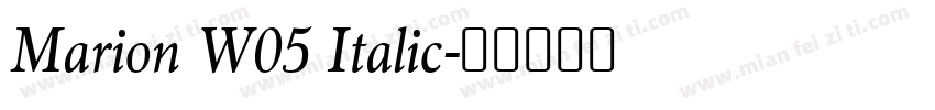 Marion W05 Italic字体转换